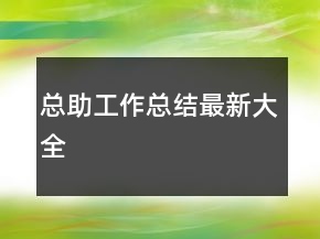 總助工作總結(jié)最新大全