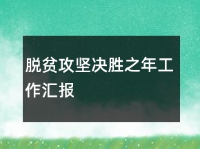 脫貧攻堅決勝之年工作匯報