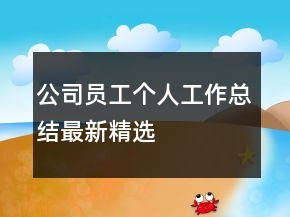 公司員工個人工作總結最新精選