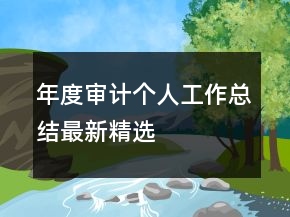 年度審計(jì)個(gè)人工作總結(jié)最新精選