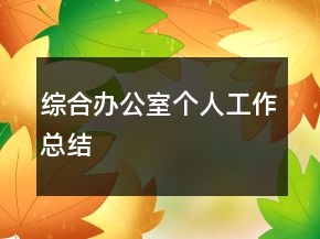 綜合辦公室個(gè)人工作總結(jié)