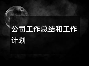 公司工作總結(jié)和工作計(jì)劃