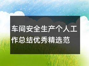 車間安全生產(chǎn)個(gè)人工作總結(jié)優(yōu)秀精選范文