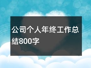 公司個人年終工作總結(jié)800字