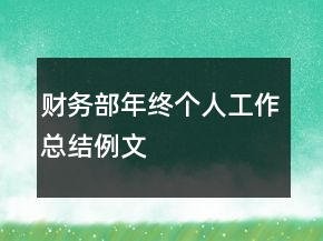 財(cái)務(wù)部年終個(gè)人工作總結(jié)例文