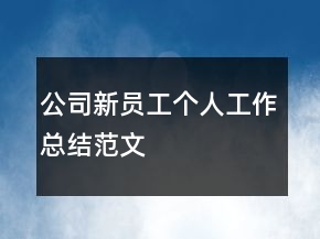 公司新員工個(gè)人工作總結(jié)范文