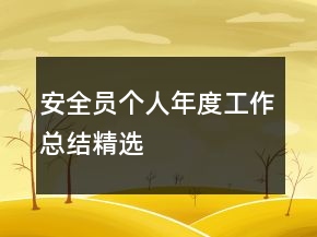 安全員個(gè)人年度工作總結(jié)精選