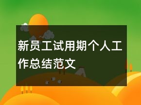 新員工試用期個人工作總結(jié)范文