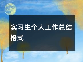 實習生個人工作總結(jié)格式