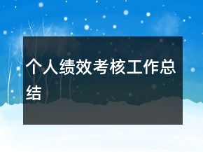 個人績效考核工作總結