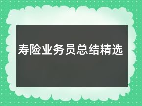 壽險(xiǎn)業(yè)務(wù)員總結(jié)精選