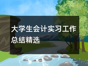 大學(xué)生會(huì)計(jì)實(shí)習(xí)工作總結(jié)精選