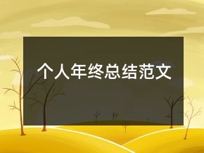 個(gè)人年終總結(jié)范文
