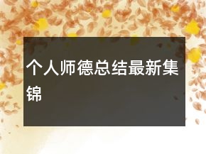個人師德總結最新集錦