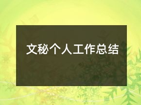 文秘個(gè)人工作總結(jié)