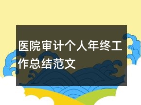 醫(yī)院審計(jì)個(gè)人年終工作總結(jié)范文