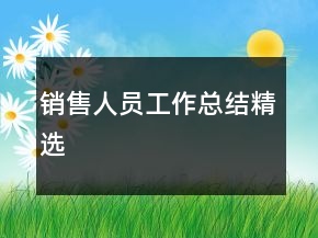 銷(xiāo)售人員工作總結(jié)精選