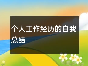 個(gè)人工作經(jīng)歷的自我總結(jié)