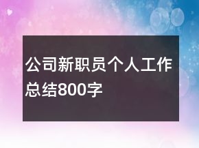 公司新職員個人工作總結800字