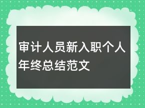 審計(jì)人員新入職個(gè)人年終總結(jié)范文