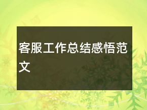 客服工作總結(jié)感悟范文