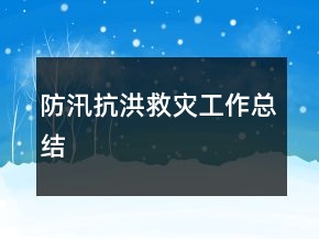 防汛抗洪救災(zāi)工作總結(jié)