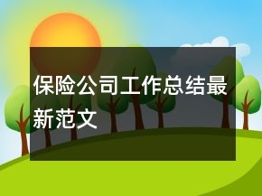 保險公司工作總結最新范文