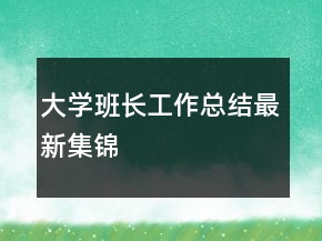 大學(xué)班長工作總結(jié)最新集錦