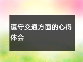 遵守交通方面的心得體會