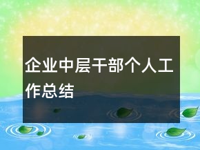 企業(yè)中層干部個人工作總結(jié)
