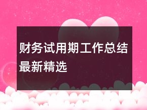 財務(wù)試用期工作總結(jié)最新精選