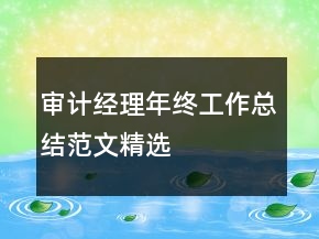 審計經(jīng)理年終工作總結(jié)范文精選