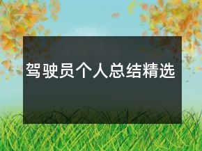 駕駛員個人總結精選
