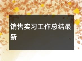 銷(xiāo)售實(shí)習(xí)工作總結(jié)最新