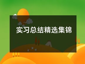 實習(xí)總結(jié)精選集錦