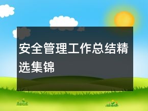安全管理工作總結(jié)精選集錦