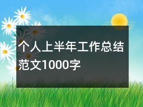 個人上半年工作總結(jié)范文1000字