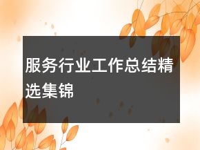服務行業(yè)工作總結精選集錦