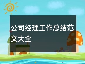 公司經(jīng)理工作總結(jié)范文大全