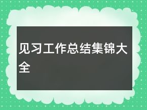 見習(xí)工作總結(jié)集錦大全