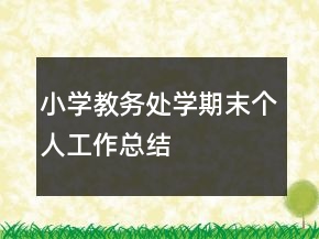 小學(xué)教務(wù)處學(xué)期末個(gè)人工作總結(jié)