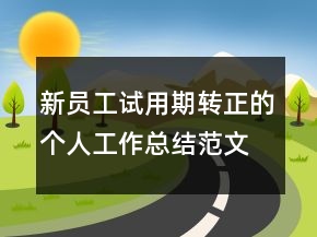新員工試用期轉(zhuǎn)正的個(gè)人工作總結(jié)范文