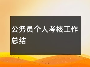 公務(wù)員個人考核工作總結(jié)