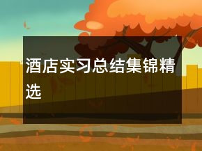 酒店實(shí)習(xí)總結(jié)集錦精選