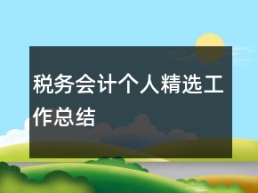 稅務會計個人精選工作總結(jié)