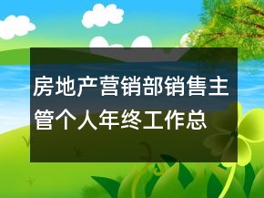 房地產(chǎn)營(yíng)銷(xiāo)部銷(xiāo)售主管個(gè)人年終工作總結(jié)