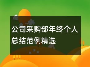 公司采購(gòu)部年終個(gè)人總結(jié)范例精選