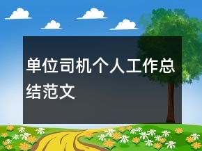 單位司機個人工作總結范文