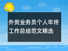 外貿(mào)業(yè)務(wù)員個(gè)人年終工作總結(jié)范文精選