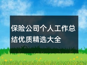 保險(xiǎn)公司個(gè)人工作總結(jié)優(yōu)質(zhì)精選大全